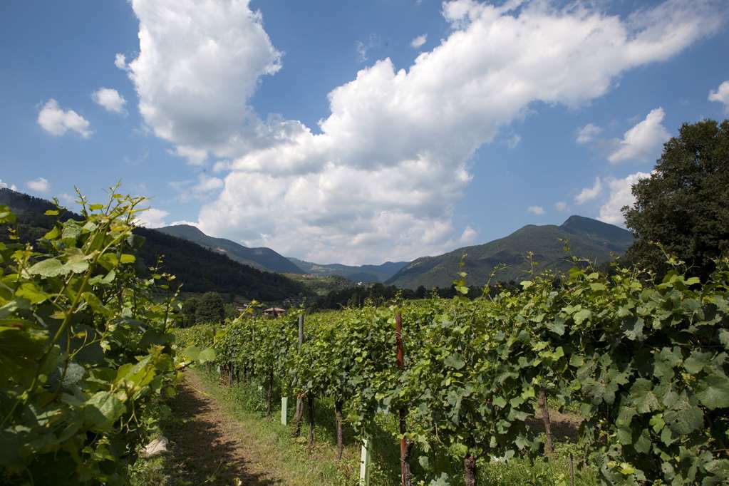Podere Castel Merlo Villongo SantʼAlessandro Esterno foto